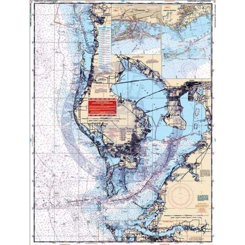 Tide Chart Tampa Bay Skyway
