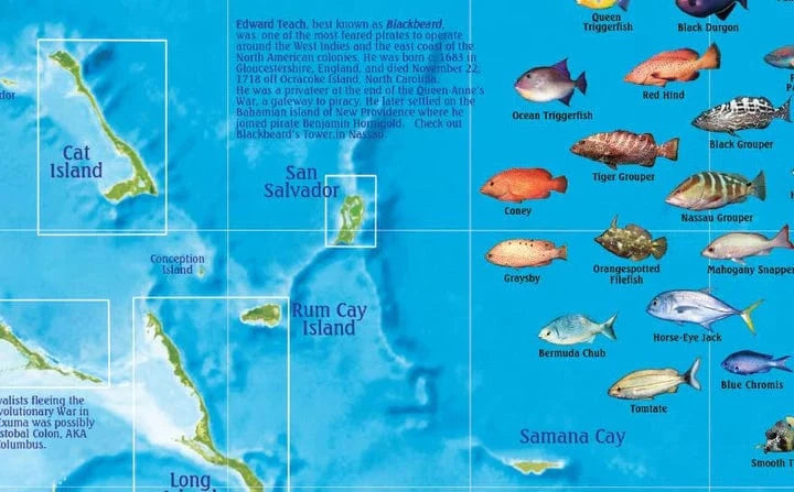 Bahamas Adventure Map