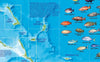 Bahamas Adventure Map