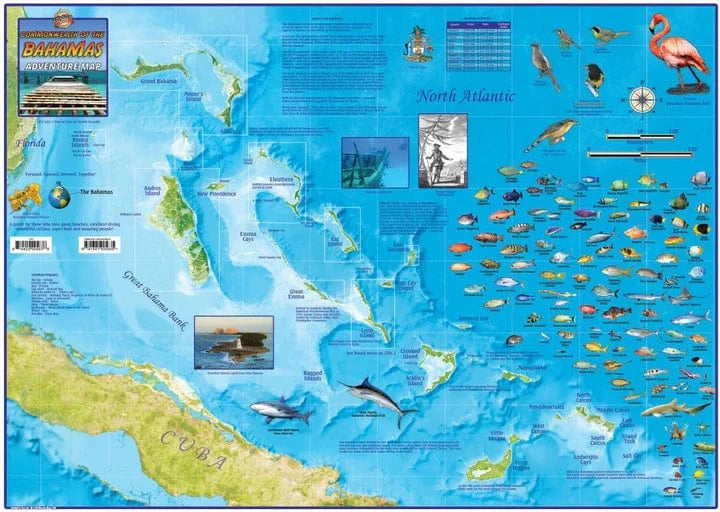 Bahamas Adventure Map