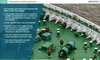 e-Learning Course: Mooring Safety Training - DNV Certified