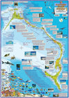 Eleuthera Island, The Bahamas, Dive & Adventure Guide Map