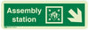 Marine Direction Sign: Assembly Station Arrow  Down Right  (2019)