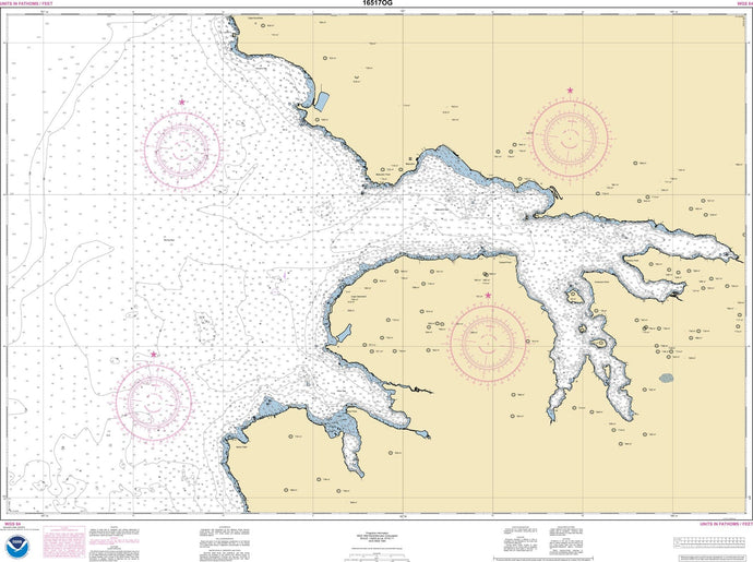 NOAA Nautical Chart 16517: Makushin Bay