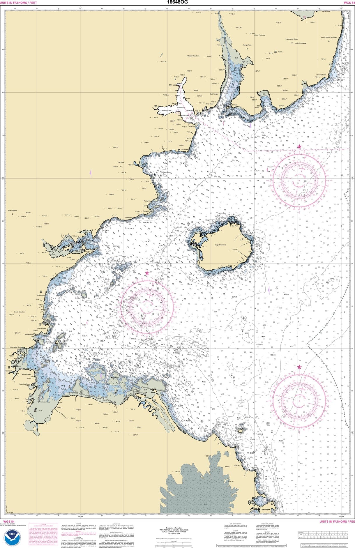 NOAA Nautical Chart 16648: Kamishak Bay;lliamna Bay