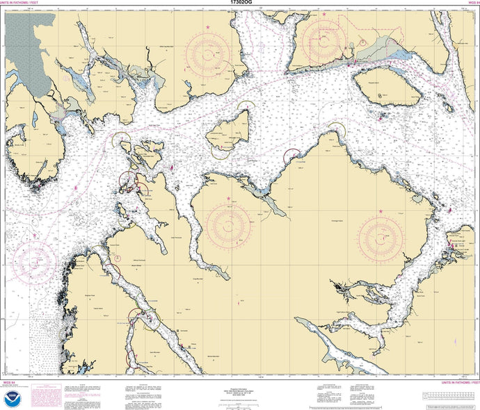 NOAA Nautical Chart 17302: Icy Strait and Cross Sound;Inian Cove;Elfin Cove