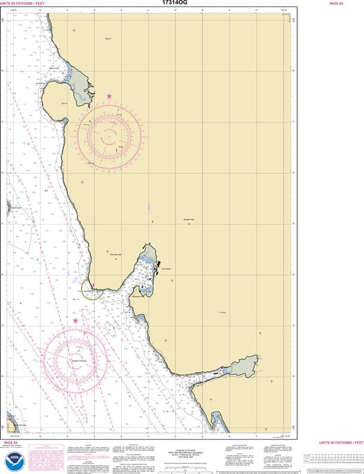 NOAA Nautical Chart 17314: Slocum and Limestone Inlets and Taku Harbor