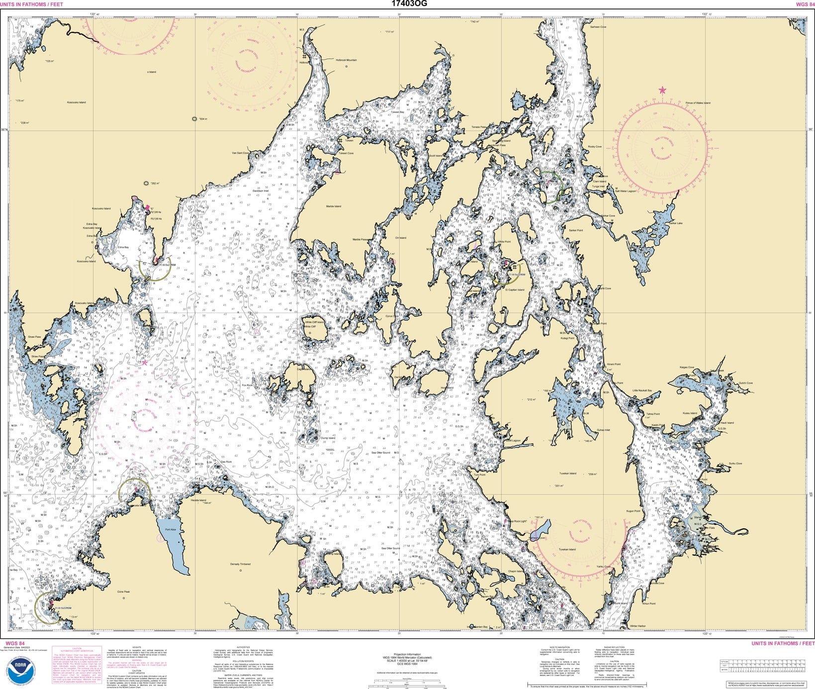 NOAA Nautical Chart 17403: Davidson Inlet and Sea Otter Sound;Edna Bay