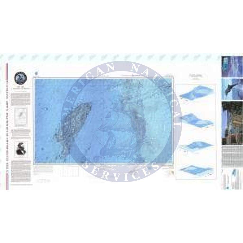 Bathymetric Chart LM-156: DAVIDSON SEAMOUNT