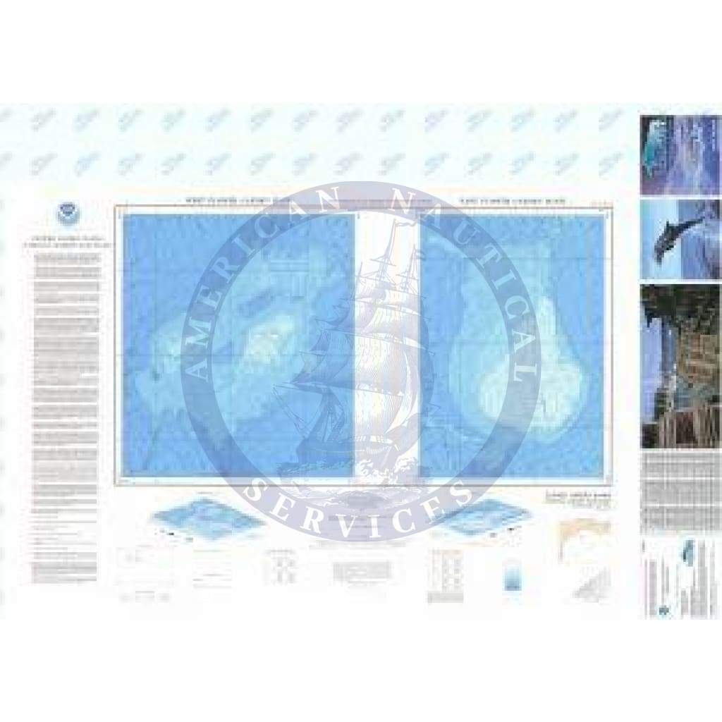 Bathymetric Chart MS-1: FLOWER GARDEN BANKS