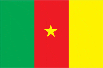 Cameroon Country Flag