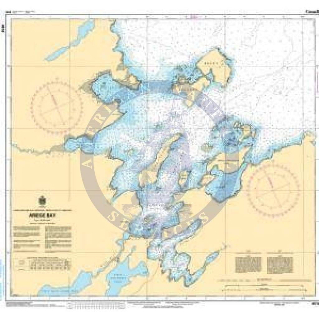 CHS Nautical Chart 4518: Ariege Bay