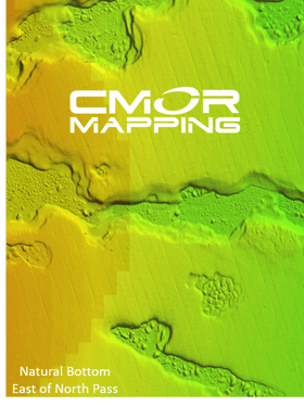 CMOR Mapping Chart: East Gulf of Mexico v3 - Amnautical