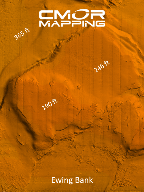 Cmor Log CMOR Mapping Chart: West Gulf of Mexico V2 - Amnautical