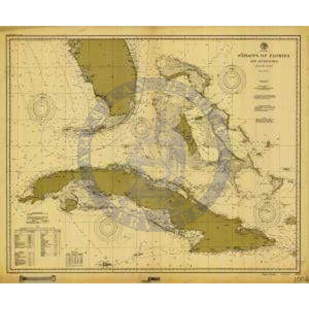 Historical Nautical Chart 1002-07-1900: FL, Straits Of Florida Year 1900