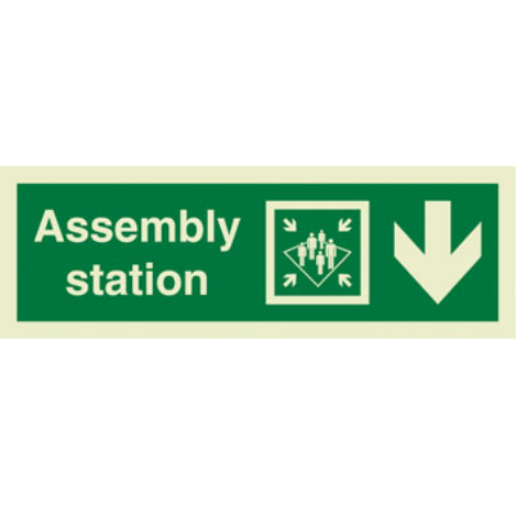 Marine Direction Sign: Assembly Station Arrow Down (2019)