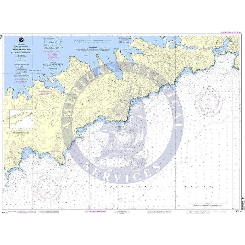 NOAA Nautical Chart 16514: Kulikak Bay and Surveyor Bay