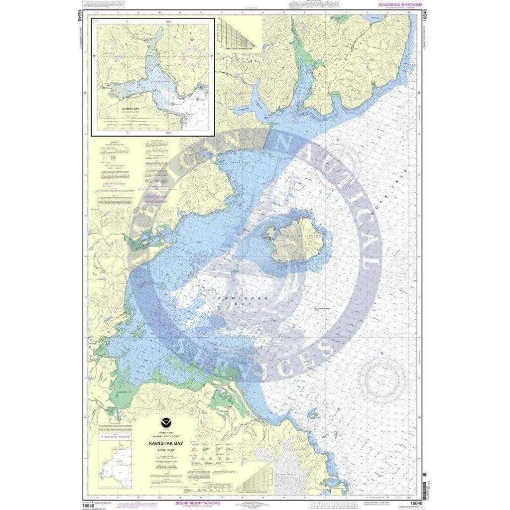 NOAA Nautical Chart 16648: Kamishak Bay;lliamna Bay