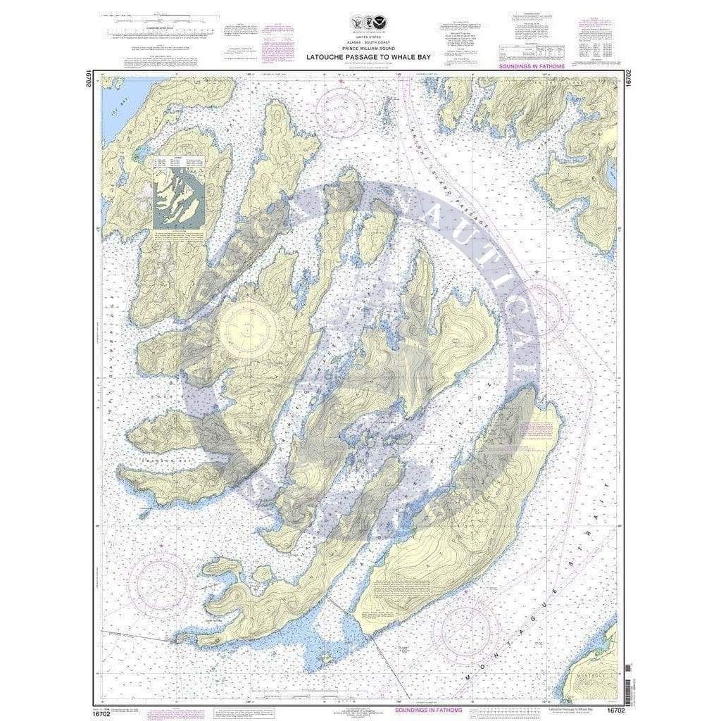NOAA Nautical Chart 16702: Latouche Passage to Whale Bay