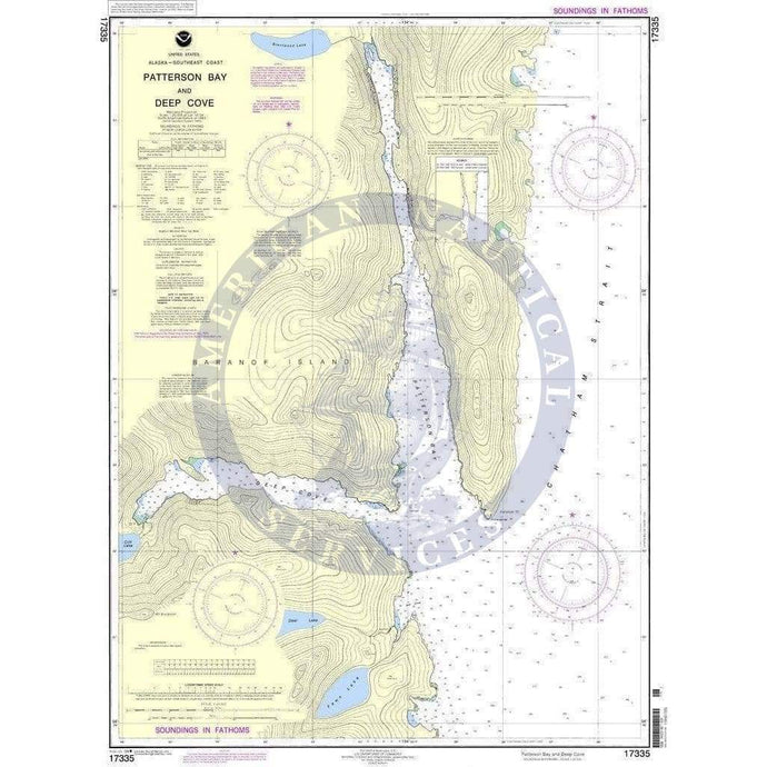 NOAA Nautical Chart 17335: Patterson Bay and Deep Cove