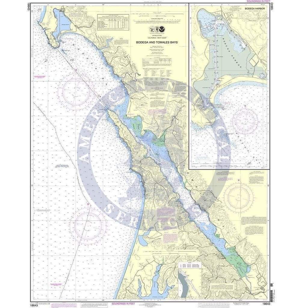NOAA Nautical Chart 18643 Bodega and Tomales Bays; Bodega Harbor
