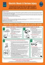 Poster - Electric shock and Serious injury (CoSTRA)
