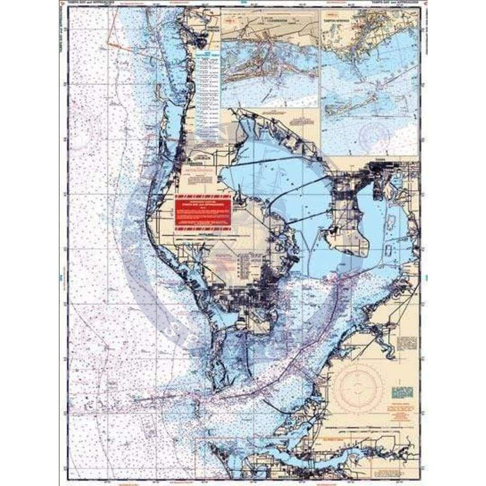 Tampa Bay and Approaches Navigation Chart 45